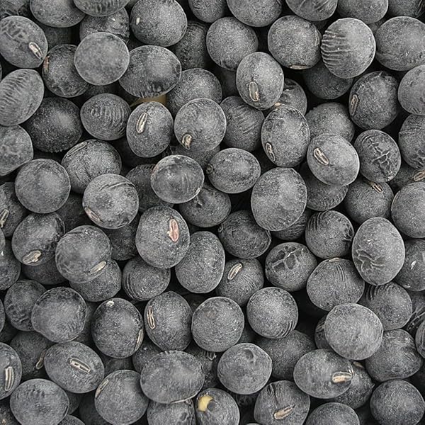 まこ様専用‼️】丹波篠山黒大豆 特大サイズ3L 3kg 【公式通販】