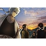銀魂 シーズン其ノ参 13 [DVD]