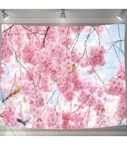 正規品 未開封 船長タペストリー 宝鐘マリン しおこんぶ LAMINARIA Amazon.co.jp: 正規品 未開封 船長タペストリー 宝鐘マリン しお