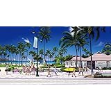 ハワイアン雑貨 インテリア/キャンバス パネル絵(Hawaii Of Hawaii)【ハワイ雑貨】【お土産】