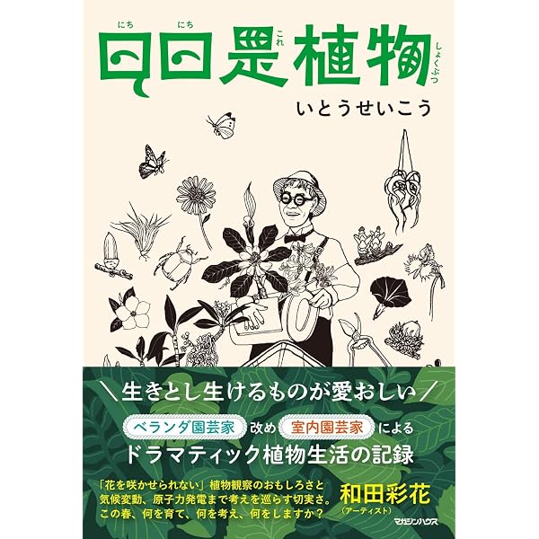 Amazon.co.jp: 普及版 世界の紙を巡る旅 : 浪江由唯: 本