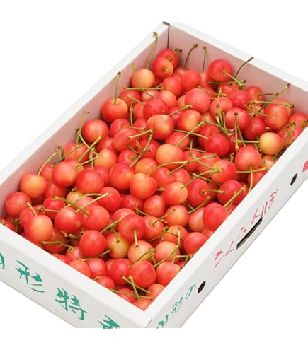 Amazon.co.jp: 北のデリシャス 山形県産 ご家庭用 さくらんぼ 紅秀峰
