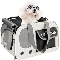 71Ms6KuNokL._AC_UL210_SR210,