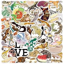 Amazon.co.jp: トカゲ ヤモリ ペットショップ 爬虫類 シール