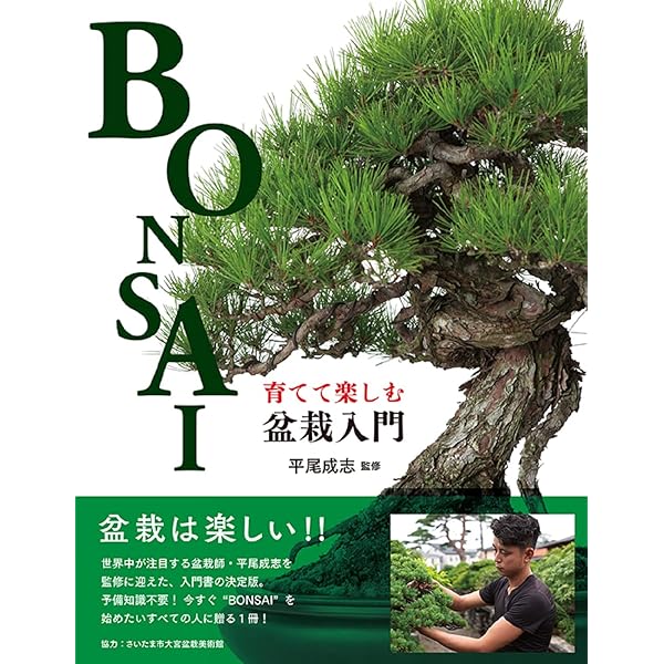 匠の技 盆栽技術集: KBムック |本 | 通販 | Amazon