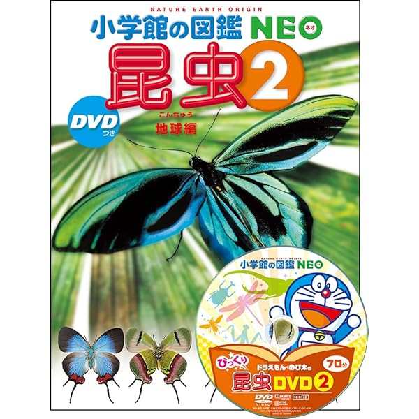 Amazon.co.jp: 小学館の図鑑NEO 昆虫 (小学館の図鑑・NEO 3) : 小池