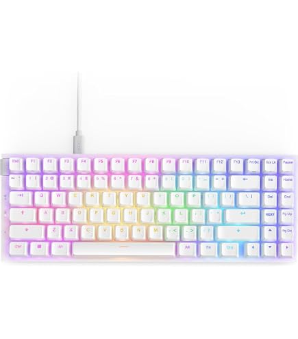 Amazon.co.jp: NZXT FUNCTION TENKEYLESS ゲーミングキーボード