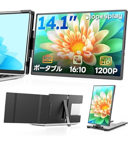 モニター二台セット whatfun_ikinari-multi2