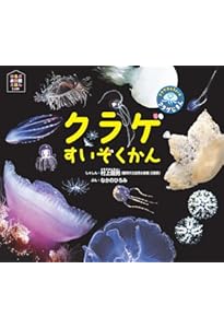 クラゲ 616-3 | エイトオプティク