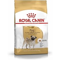 71N-2hZZz9L._AC_UL210_SR210,