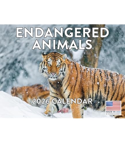 Funky Animal Hairdos And A Smoking Duck Among 2025 Comedy Wildlife Photo Awards Finalists - News - View #5