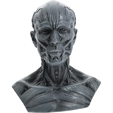 Amazon.co.jp 売れ筋ランキング: 石膏頭肖像 の中で最も人気のある商品です