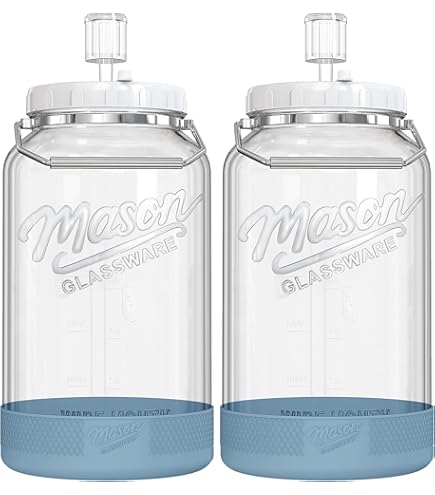 VETRO PESI DA Conserve Fermentate Fermentazione Ciottoli EUR 12,95 - IT