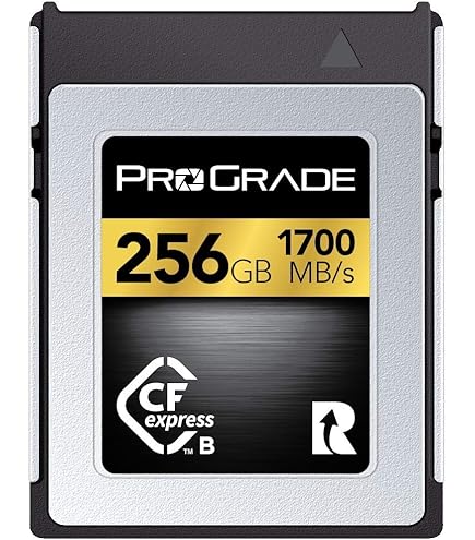プログレード PROGRADE CFexpress Type B 165GB Amazon | ProGrade Digital 325GB CFexpress Type B メモリー