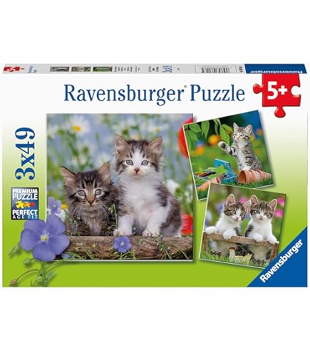 ジグソーパズル ペター・モッツ 隠された楽園 2016ピース　廃盤プレミア品 71JyvoZMhbL._UF894,1000_QL80_.jpg