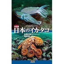 決定版 日本のイカ・タコ | 土屋 光太郎, 阿部 秀樹 |本 | 通販 | Amazon