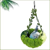 71NAm6w7uUL._AC_UL210_SR210,