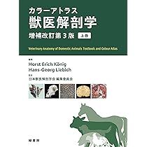 Amazon.co.jp: カラーアトラス獣医解剖学 増補改訂第3版 上巻 : Horst
