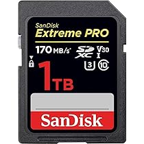 SanDisk - 最新版 マイクロSDカード256GB extreme エクストリーム プロ 256 GB SanDisk Extreme PRO SDHC™ And SDXC™ UHS-I Card | Sandisk