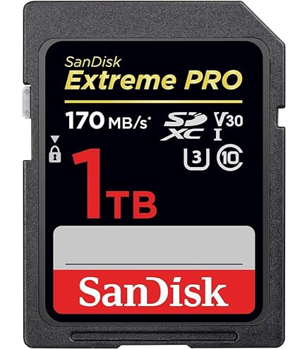 Nintendo Switch 本体1TB SDカード付 サンディスク1TBエクストリームPROマイクロSDXC Nintendo Switch対応