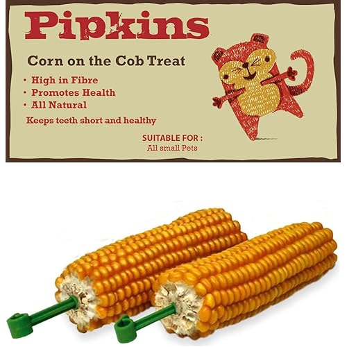 Pipkins Corn Cob Treat for Small Animals - Ideal Hamster Treat, Guinea Pig Treat and all other Small Animals Treat - A Nutrit