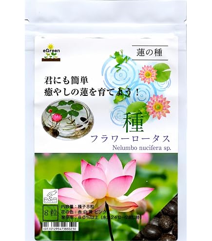 Amazon.co.jp: ミニハスの種 茶碗蓮 ハスの種 屋内外植付け可能 お得な