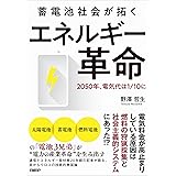 蓄電池社会が拓く エネルギー革命