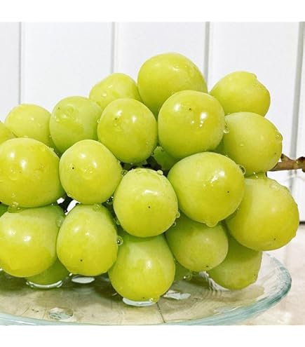 Amazon.co.jp: 長野県 ナガノパープル/シャインマスカット 秀品 約1.2