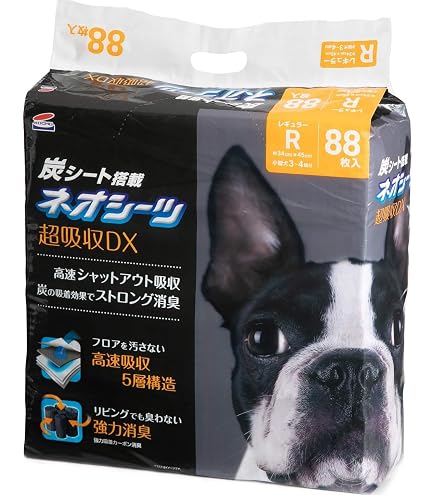 Amazon.co.jp: クリーンワン 消臭炭シート ダブルストップ レギュラー