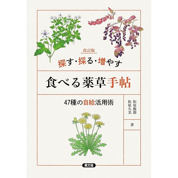 古書 不思議によく利く 薬草薬木速治療法 松島種美著 初版 大正14年 激レア 中世の庭の薬草事典 癒しと恵みのハーブ (ひみつの本棚シリーズ