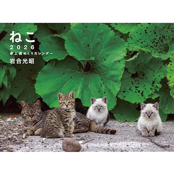 猫様 | 想田 和弘 |本 | 通販 | Amazon