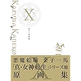 金子一馬画集X