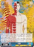 ヴァイス DDD/S118-088 太郎 (C コモン) ブースターパック TVアニメ ダンダダン