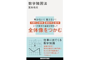 数学独習法 (講談社現代新書)