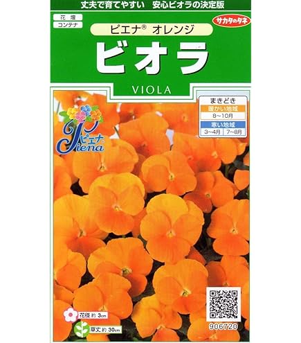 Amazon.co.jp: ストライクウィッチーズ Kサプライ限定 パーソナル