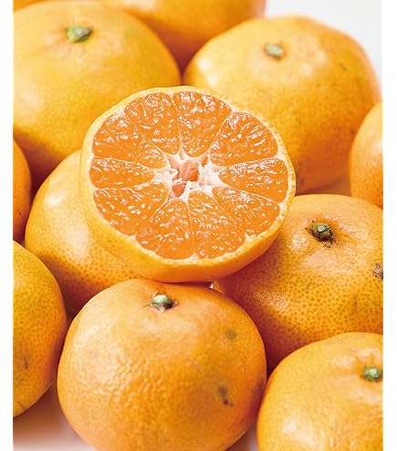 Amazon.co.jp: 訳あり柚子 10Kg 高知県産の栽培中農薬不使用 Amazon.co.jp: 訳あり柚子 10Kg 高知県産の栽培中農薬不使用