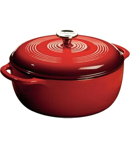 Amazon.co.jp: LODGE(ロッジ) キッチンダッチオーブン・10インチ 8DO2A