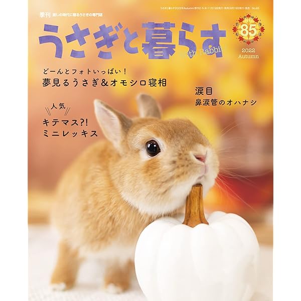 Amazon.co.jp: うさぎと暮らす No.82 eBook : うさぎと暮らす
