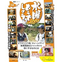 水曜どうでしょう DVDコレクション 第13号(東京 2泊3日70km 第4夜