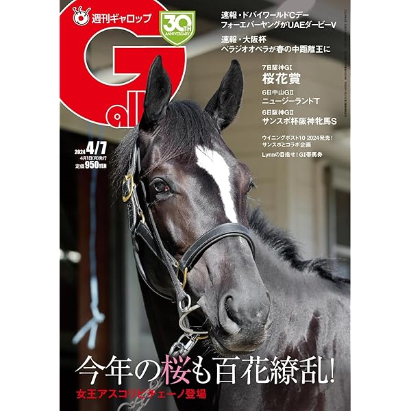 週刊ギャロップ 2004年 全巻 週刊ギャロップ 2004年 全巻