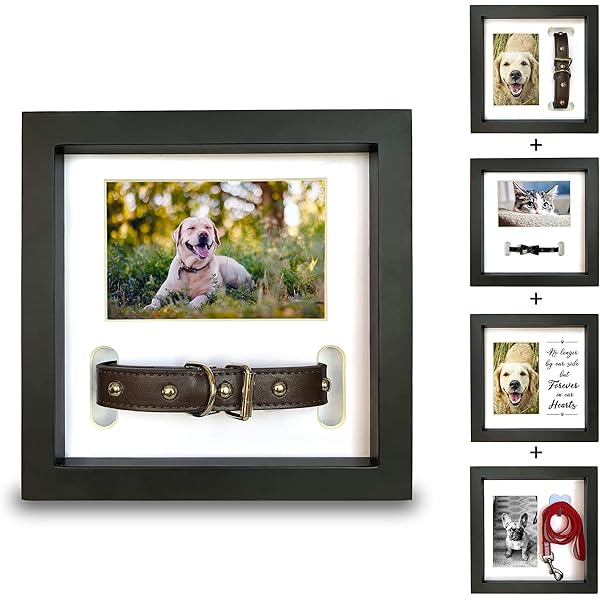 pearhead dog collar frame