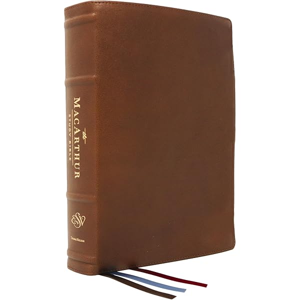 MacArthur Study Bible-NASB : MacArthur, John, MacArthur, John