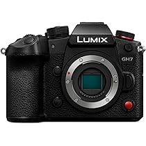 【美品】LUMIX VARIO ELMARIT 8-18mm レンズ Panasonic LUMIX G Leica DG Vario-Elmarit 8-18mm f/2.8-4