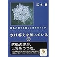 水は答えを知っている　2 (サンマーク文庫 え 1-2)