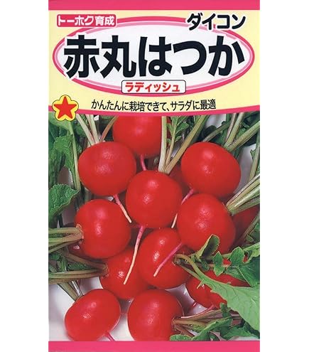 だいこん商品 51PnywIQ3gL._UF350,350_QL50_.jpg