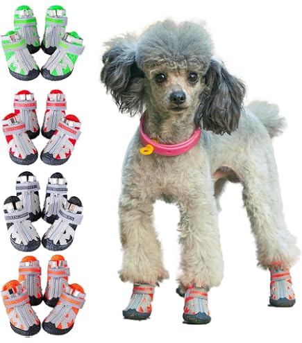 Amazon.co.jp: 犬用クロックス春夏レインブーツペット用品ゴールデン