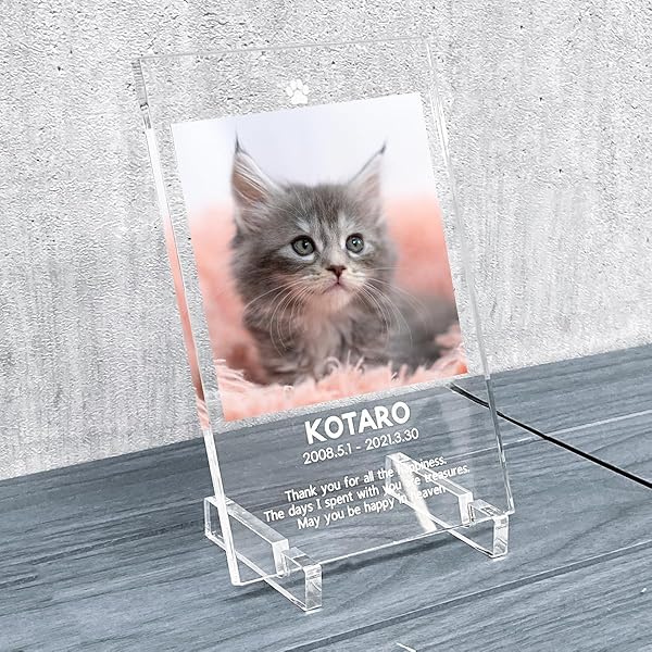 Amazon | Printon 愛犬/猫のオーダーメイド 絵 卓上パネル (132 x 18 x  