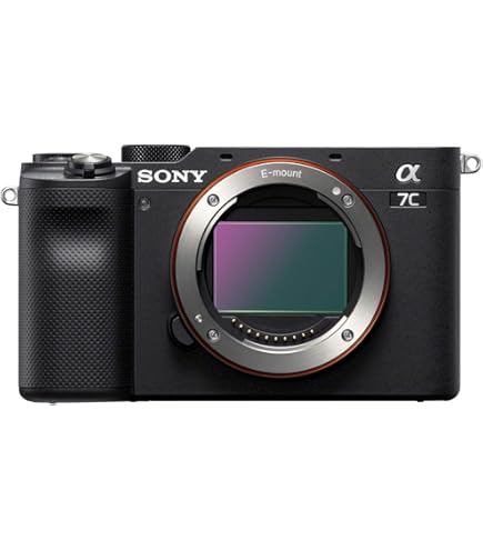 Sony Alpha A6100 Mirrorless Camera with 16-50mm Zoom Lens, Black