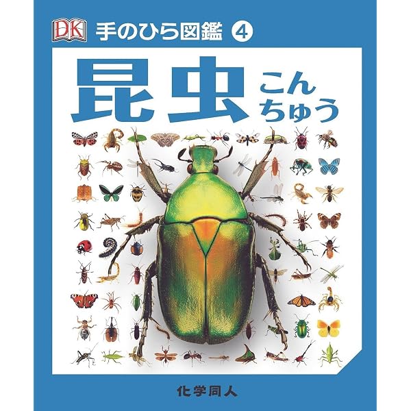 : 手のひら図鑑15 海 : ベン・ハバード, デレク・ハーベイ