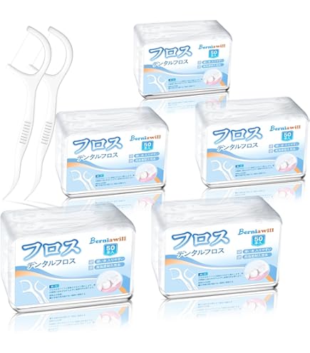 Amazon | デンタルフロスピック付(ホルダータイプ)50本入 41-261